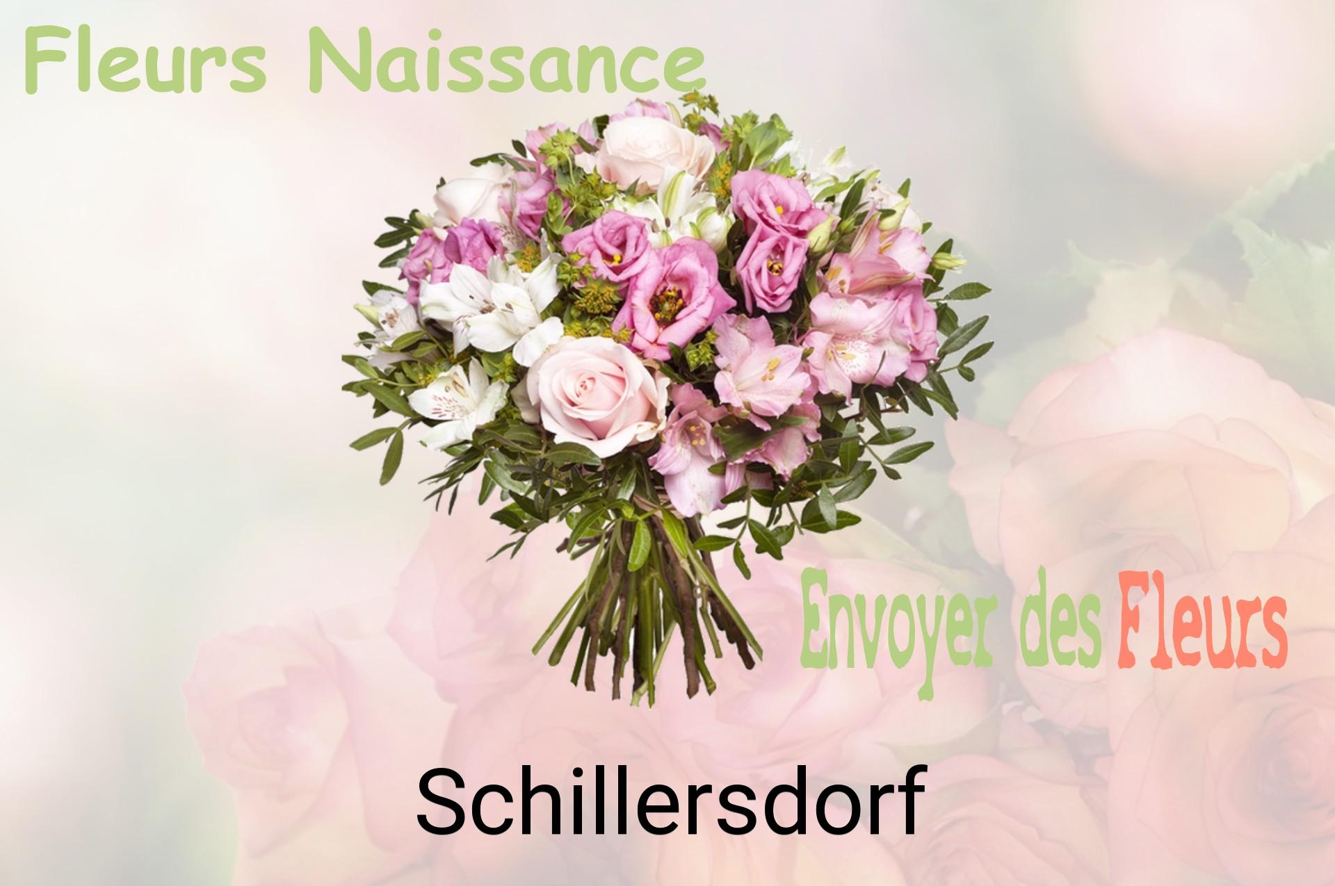 Bouquet de fleurs de naissance livré à Schillersdorf